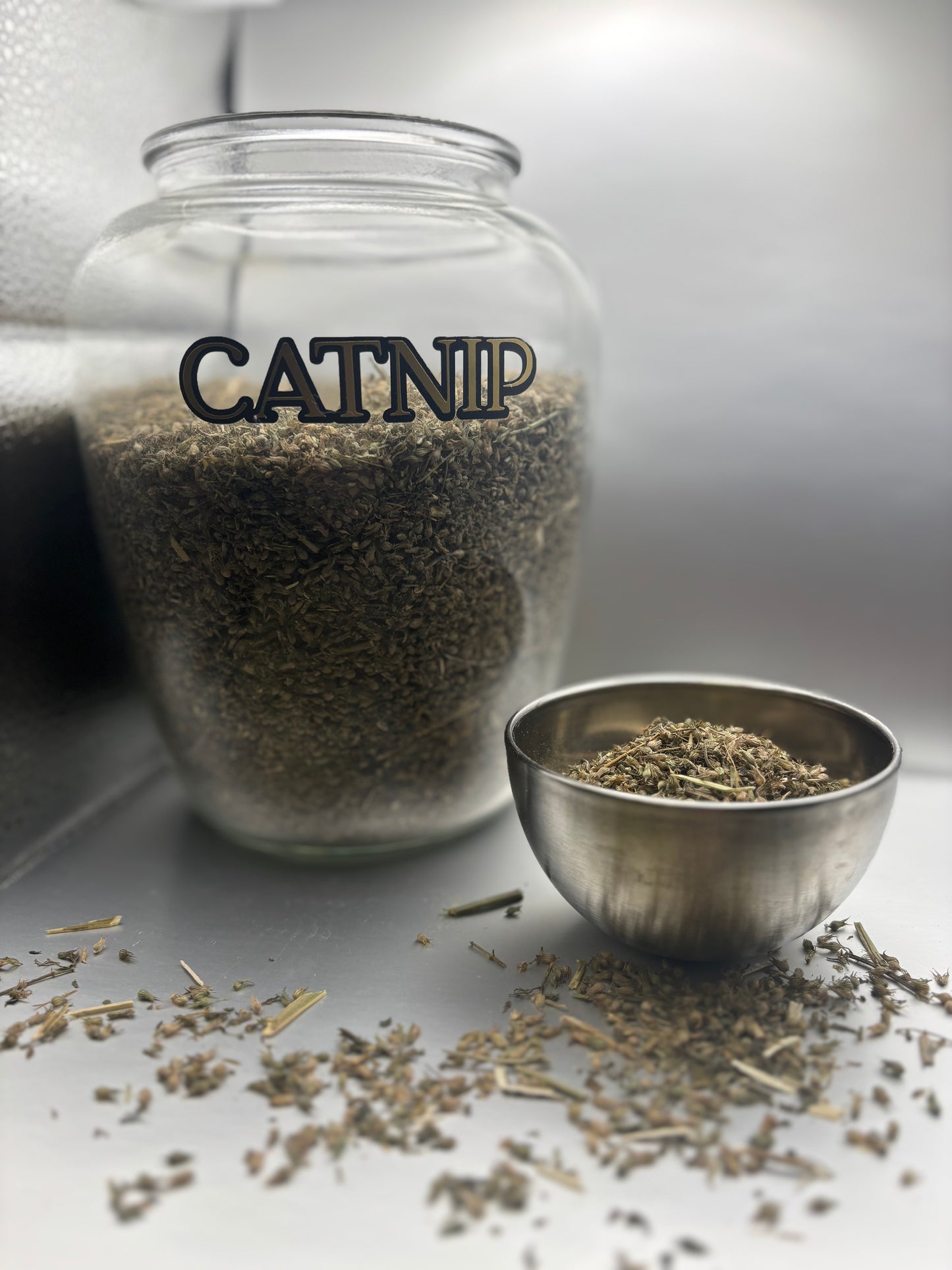 Catnip