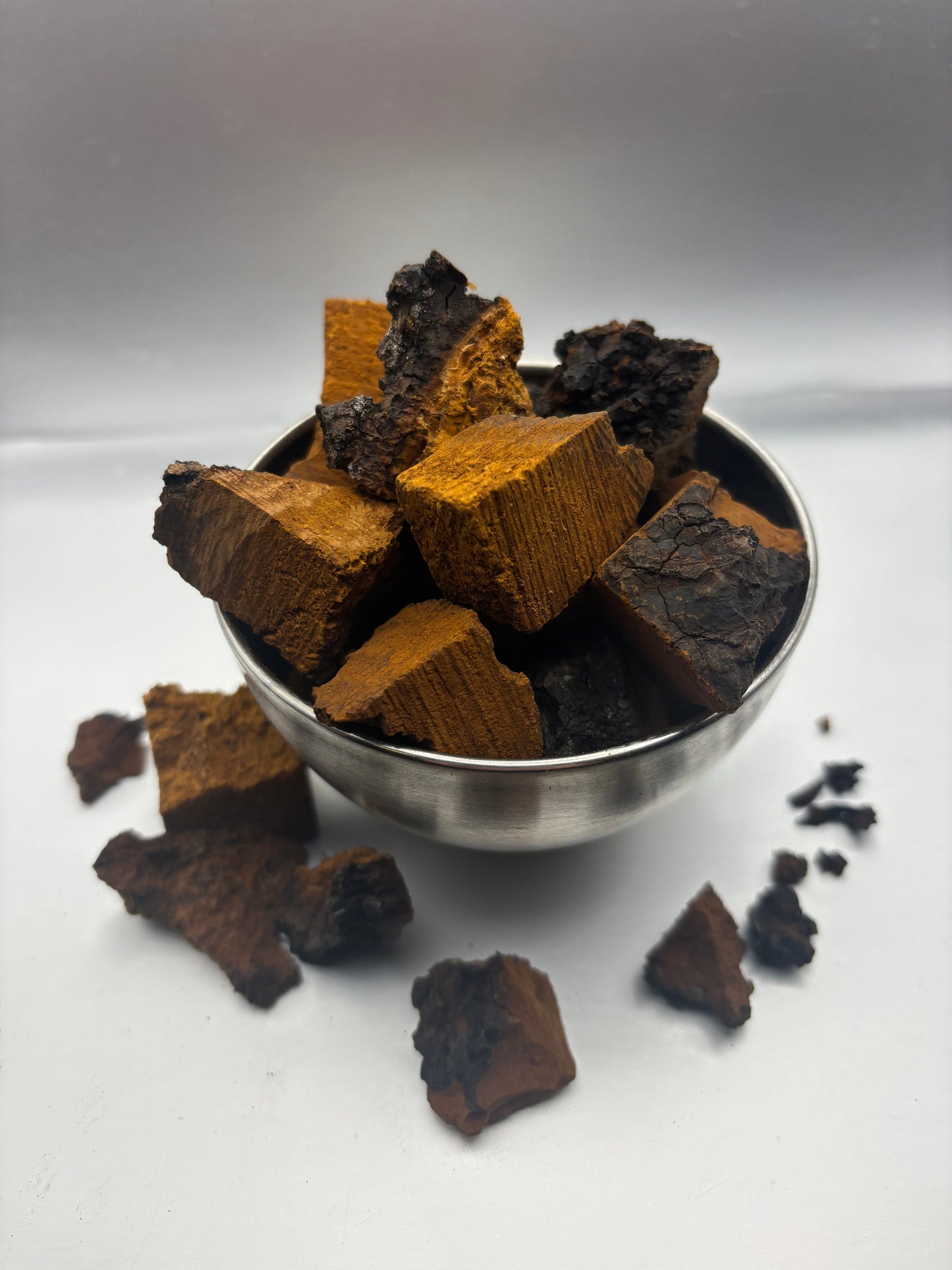 Chaga