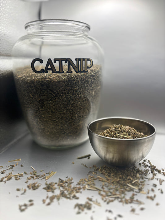Catnip
